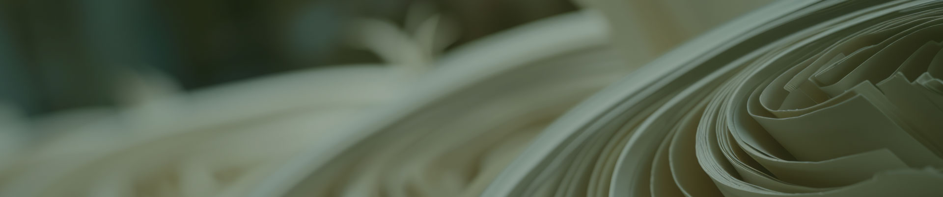 kağıt sektörü banner